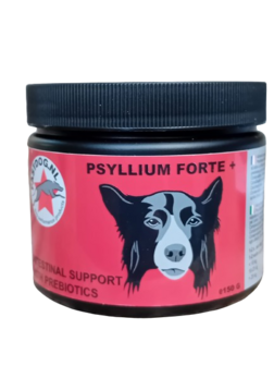 Psyllium Forte +, supplement