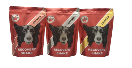 FASTDOG RECOVERY SHAKE | 500 GRAM