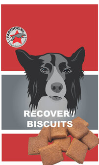 fastdog biscuits