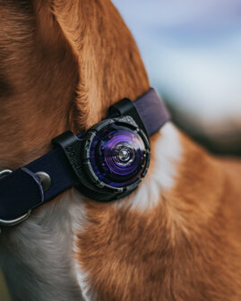 ORBILOC DOG DUAL | PURPLE *Waterschade verpakking