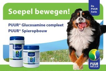 Verslaving Saga het internet PUUR Glucosamine Extra - Run with Pride | Dog sport equipment