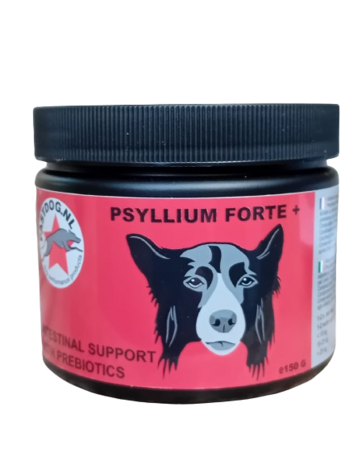 Psyllium Forte +, supplement