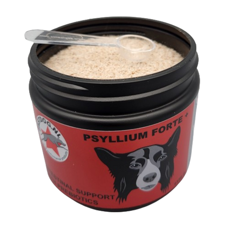 Psyllium Forte+