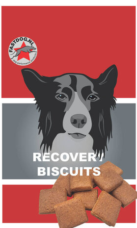 fastdog biscuits