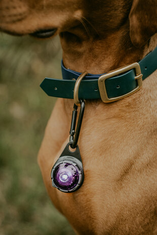 ORBILOC DOG DUAL | PURPLE *Waterschade verpakking