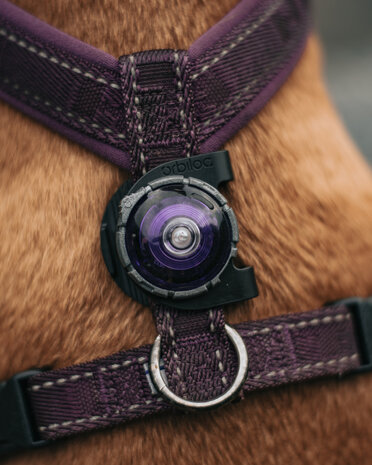 ORBILOC DOG DUAL | PURPLE *Waterschade verpakking